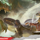 Illustration for article titled The D&D Starter Set is a Great Way to Introduce Newbies to RPGs